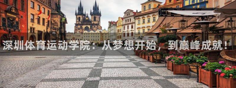 yy易游官网下载招商电话号码：深圳体育运动学院：从梦想开始，