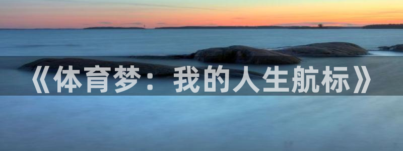 yy易游官方正版app开户：《体育梦：我的人生航标》