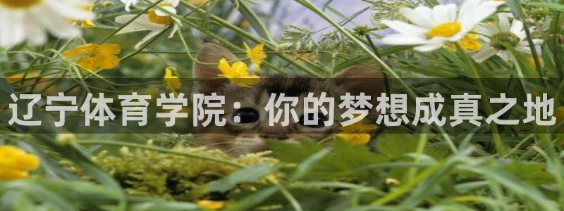 yy易游官网下载平台：辽宁体育学院：你的梦想成真之地