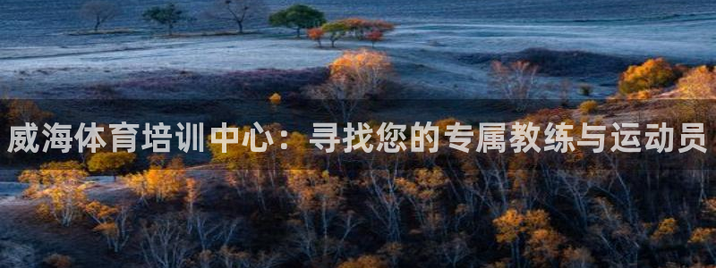 yy易游官方集团官网：威海体育培训中心：寻找您的专属教练与运