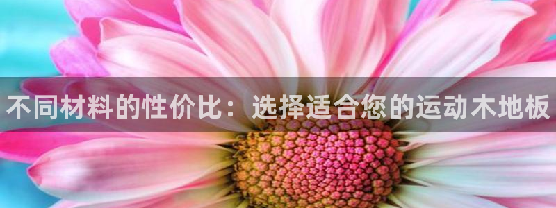 yy易游官方正版app新能源：不同材料的性价比：选择适合您的