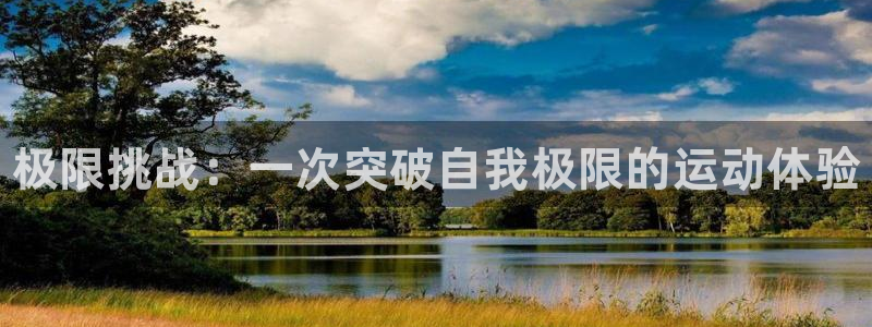 yy易游官方正版app集团logo：极限挑战：一次突破自我极