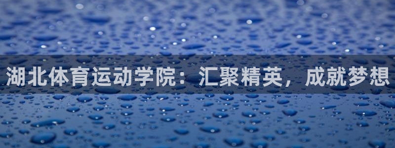 yy易游官网下载平台