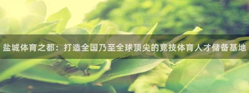 yy易游官网下载招商电话号码是多少啊：盐城体育之都：打造全国
