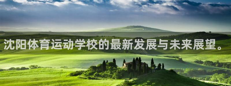 yy易游官网下载平台是正规平台吗安全吗