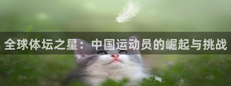 yy易游官方正版app集团官网首页：全球体坛之星：中国运动员