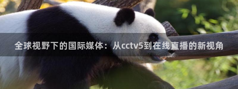 178篮球比赛免费直播：全球视野下的国际媒体：从cctv5到在线直播的新视角