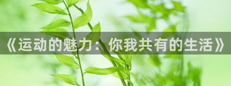 yy易游官网下载招商电话号码：《运动的魅力：你我共有
