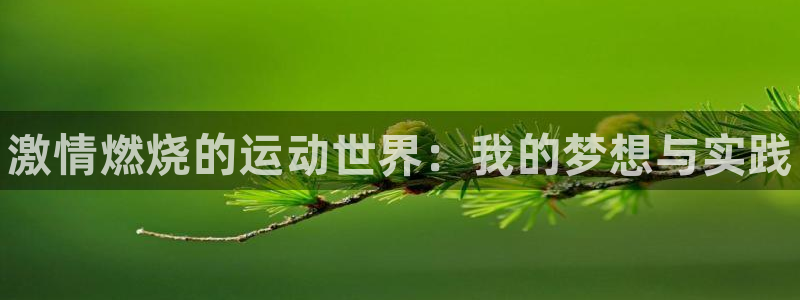 yy易游官方正版app神州：激情燃烧的运动世界：我的