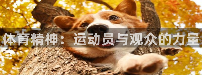 yy易游官方正版app集团官网首页：体育精神：运动员