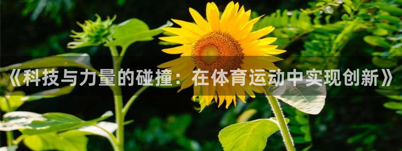 yy易游官网下载平台注册:《科技与力量的碰撞:在体育运动中实