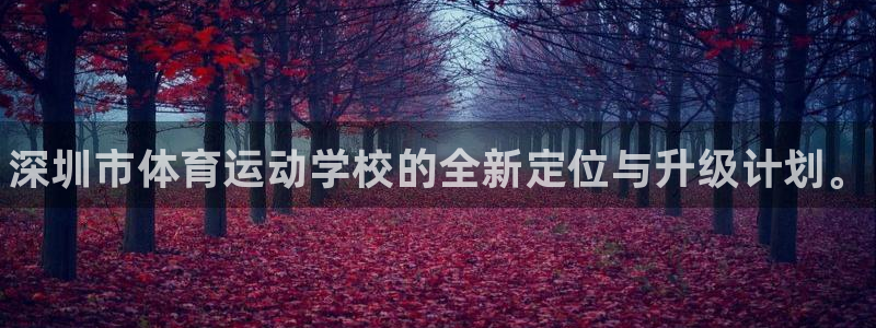 海南yy易游官网下载发展怎么样