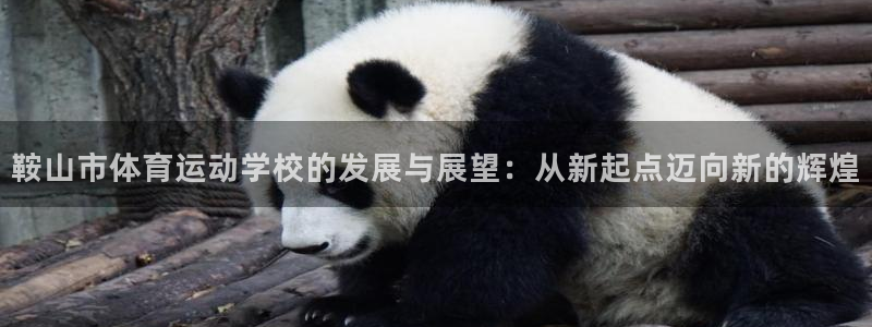 yy易游官方正版app集团E.ON：鞍山市体育运动学