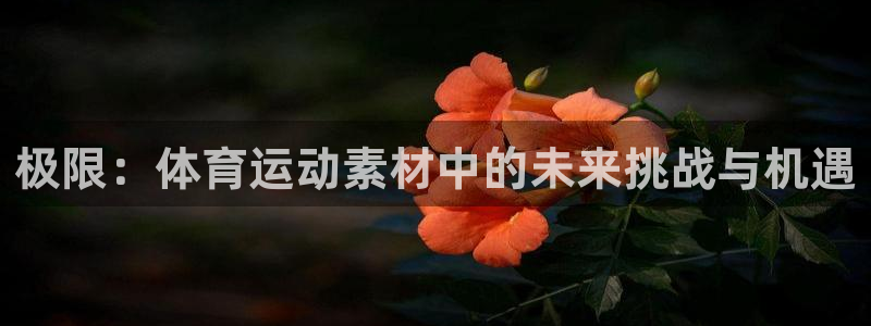 yy易游官方正版app官方：极限：体育运动素材中的未