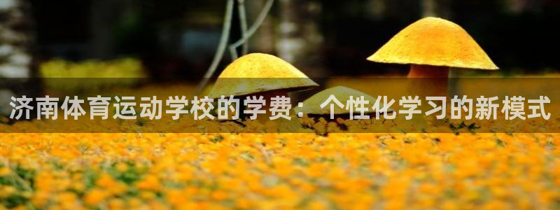 yy易游官网下载招商电话地址：济南体育运动学校的学费