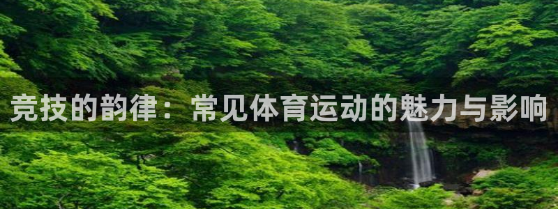 yy易游官方正版app集团官网首页：竞技的韵律：常见