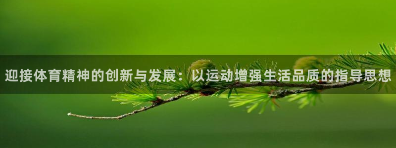 yy易游官网下载招商电话号码是多少：迎接体育精神的创