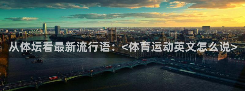 yy易游官网下载是干嘛的公司