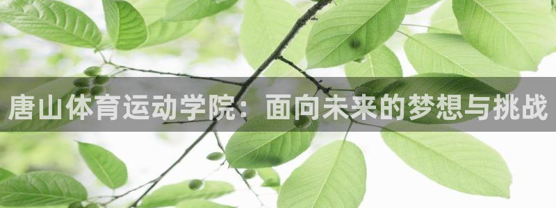 yy易游官网下载招商电话号码是多少号：唐山体育运动学