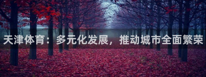 yy易游官方正版app娱乐:天津体育:多元化发展,推动城市全