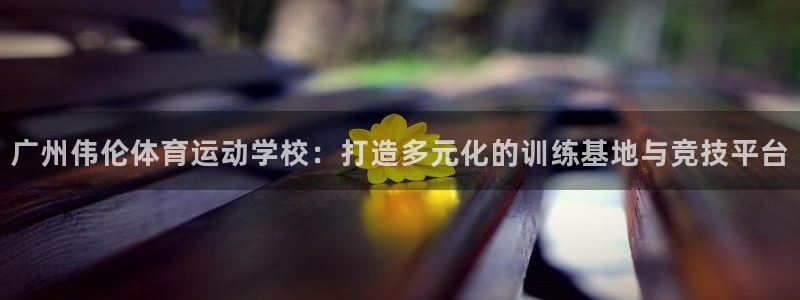 yy易游官方集团官网：广州伟伦体育运动学校：打造多元