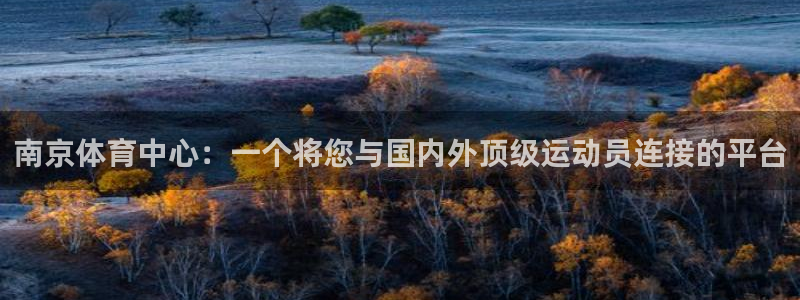 yy易游官网下载平台注册流程图：南京体育中心：一个将