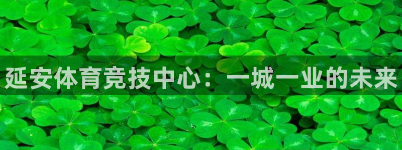 yy易游官方正版app集团E.ON:延安体育竞技中心:一城一