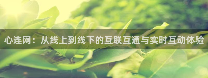 178足球赛事直播吧：心连网：从线上到线下的互联互通与实时互动体验