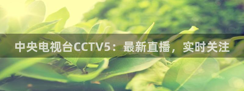 178直播体育在线观看：中央电视台CCTV5：最新直播，实时关注