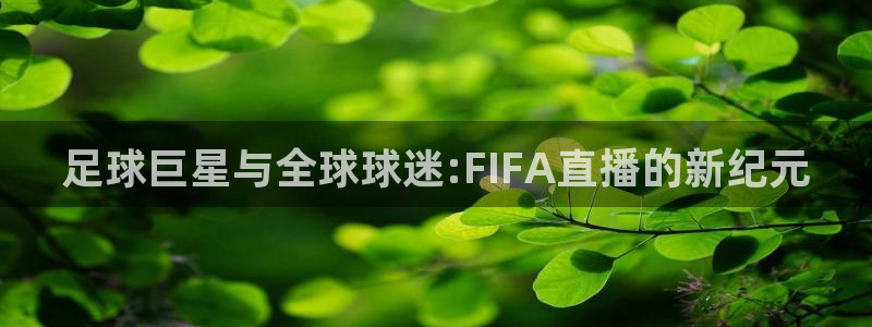 178nba篮球直播在线直播：足球巨星与全球球迷:FIFA直播的新纪元