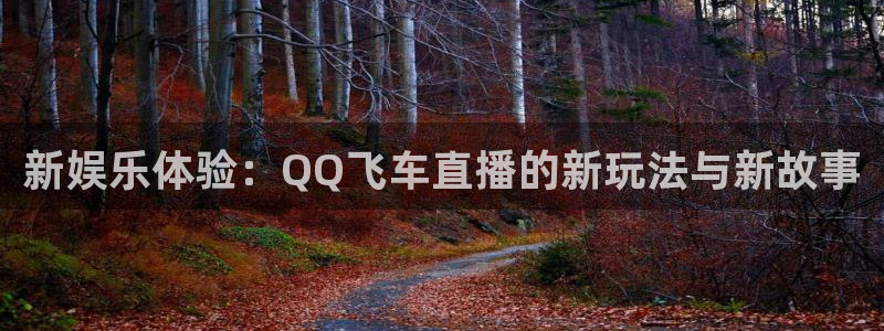 178体育赛事直播app：新娱乐体验：QQ飞车直播的新玩法与新故事