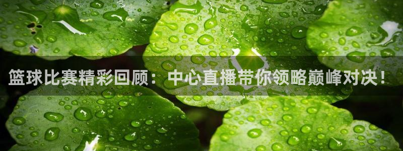 178直播体育足球在线观看：篮球比赛精彩回顾：中心直播带你领略巅峰对决！